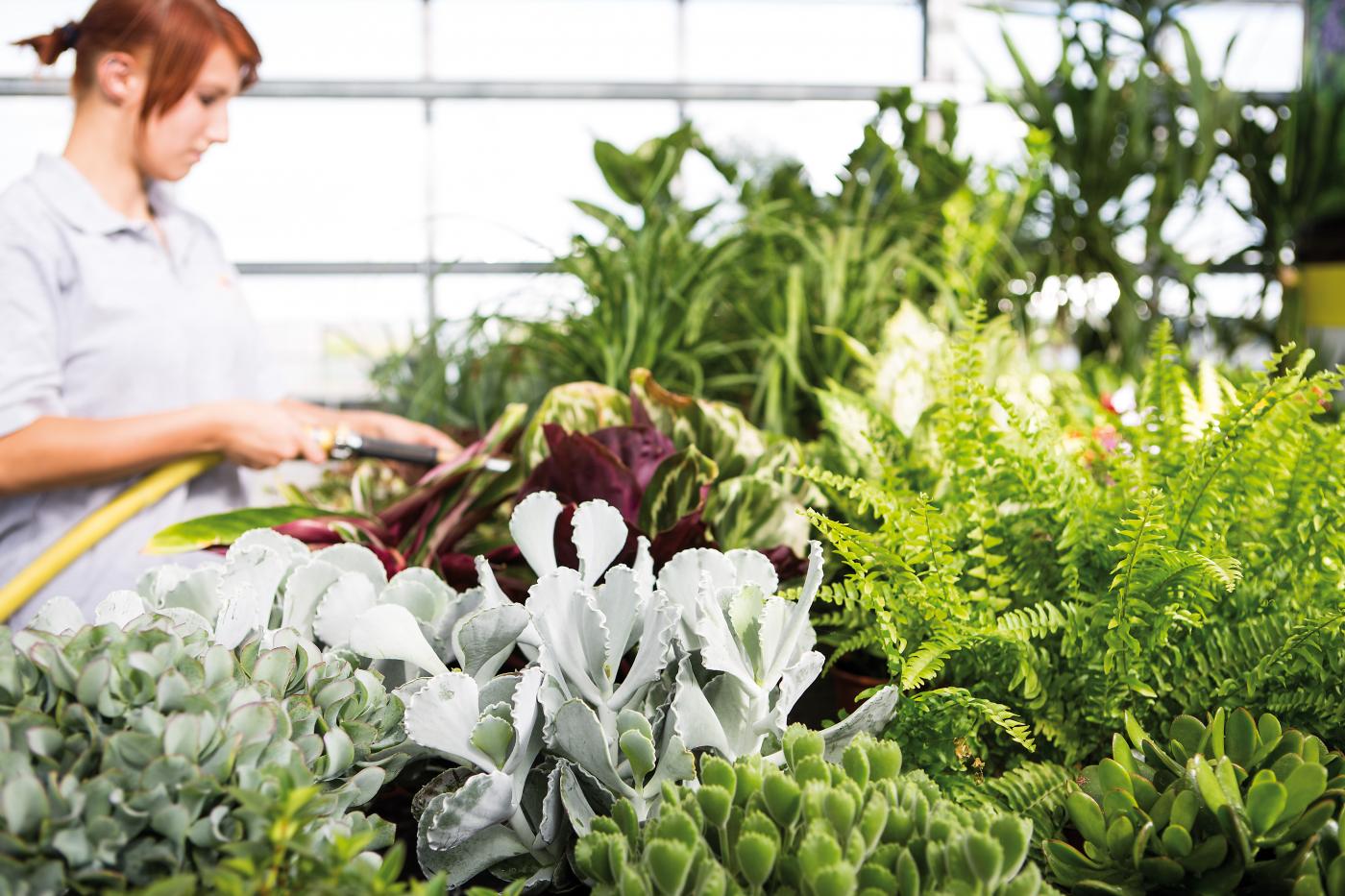 Gartenbauberufsschule