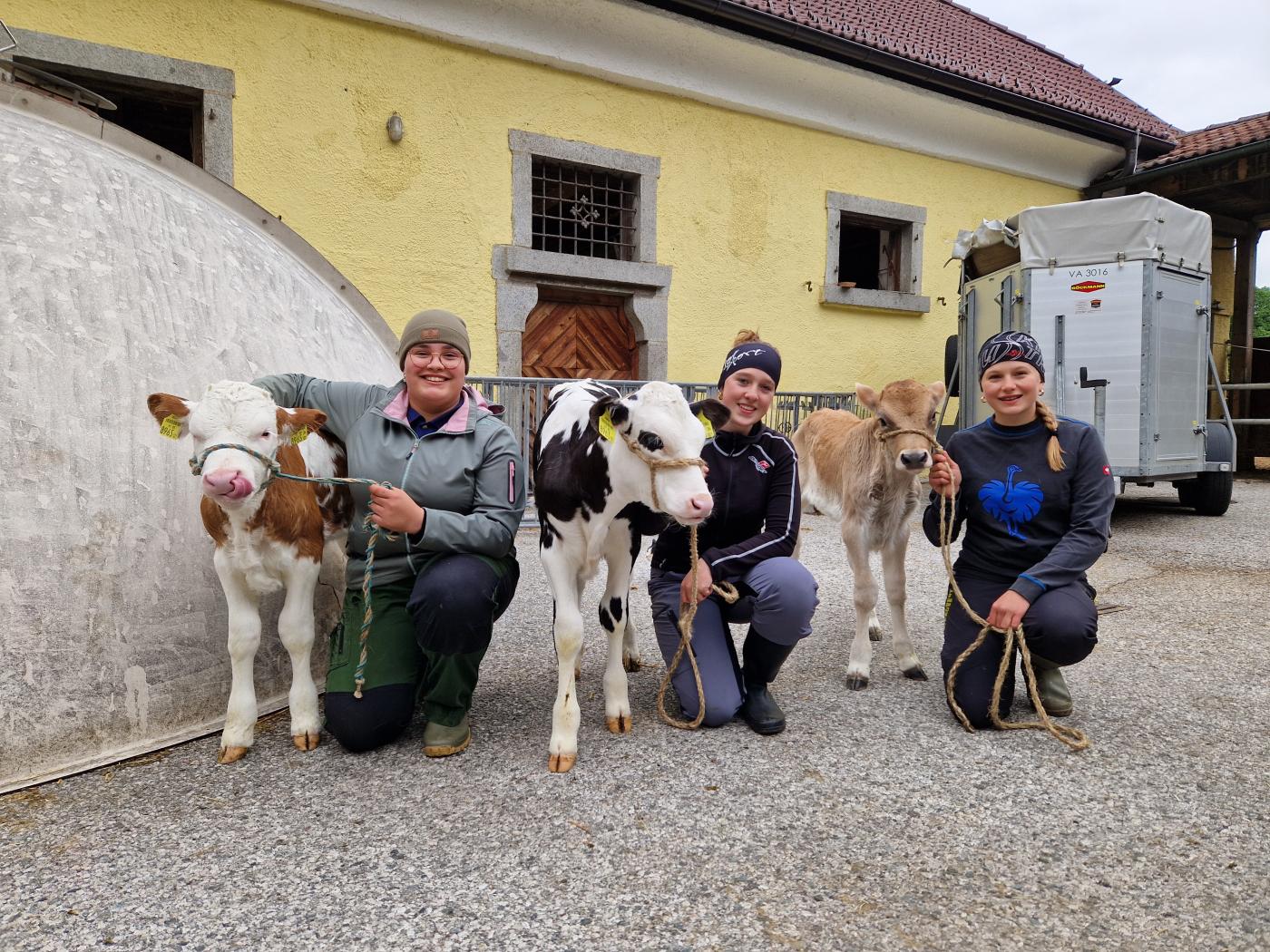 Schülerinnen mit Kälber