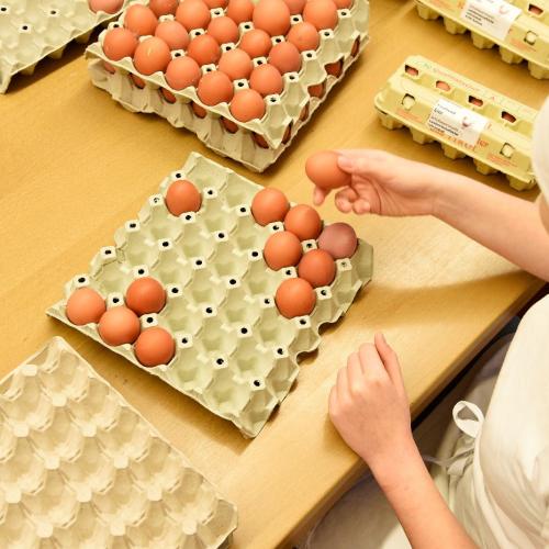 Eier klauben