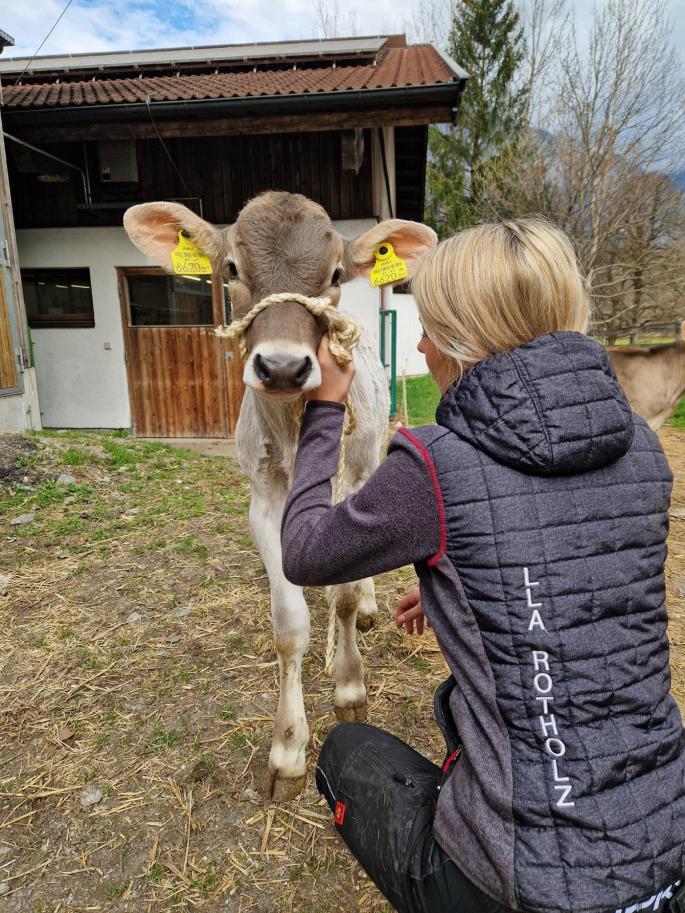 Schülerin mit Kalb