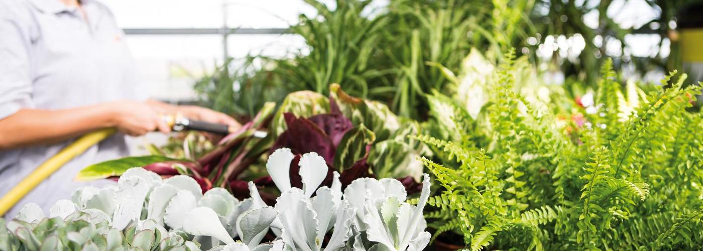 Gartenbauberufsschule