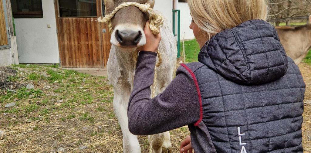 Schülerin mit Kalb